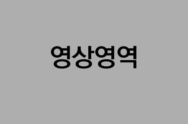 영상영역
